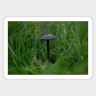 Mushroom surrounded by green Sticker